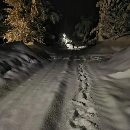 公寓 Im Landhausstil 上罗伊特